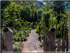 foto Giardini Trauttmansdorff - Paesaggi dell'Alto Adige